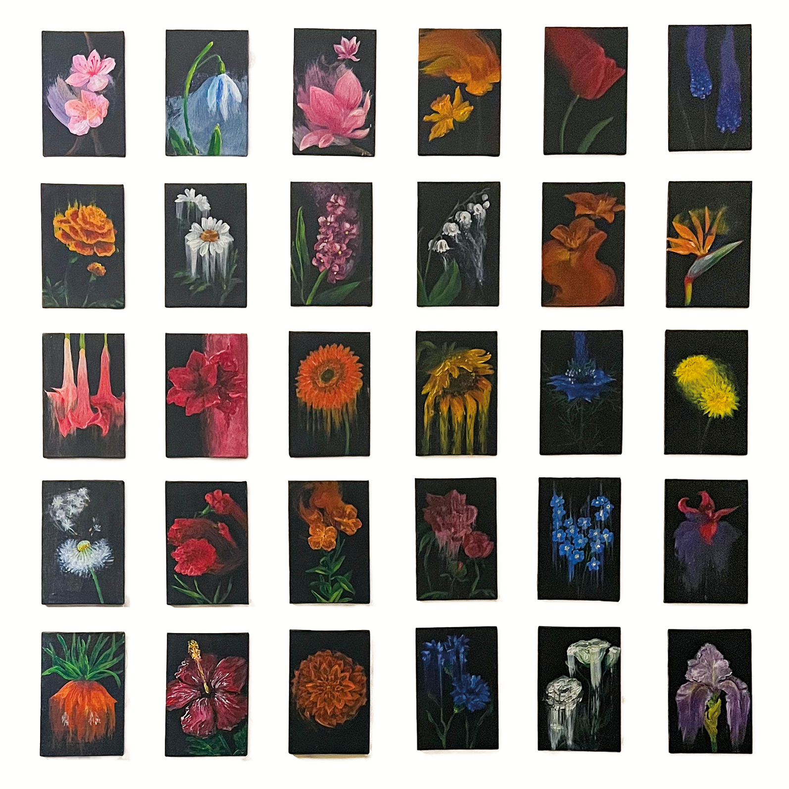 A collection of 30 small acrylic paintings depicting various flowers against dark backgrounds. Each painting showcases a different flower species, with colors ranging from soft pastels to intense reds, oranges, blues, and yellows. Some flowers appear delicate and ethereal, while others have a dripping, melting effect, blending realism with expressive abstraction. The contrast between the vibrant flowers and the deep black backgrounds enhances their luminosity, giving the series a dramatic, almost surreal presence. acrylic painting, flowers, floral art, dark background, vibrant colors, contrast, realism, abstraction, dripping effect, expressive, botanical, collection, series, atmospheric, luminous